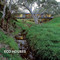 Eco Houses by Loft Publications, 9781632205957
