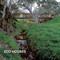 Eco Houses by Loft Publications, 9781632205957
