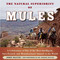 The Natural Superiority of Mules (A Celebration of One of the Most Intelligent, Sure-Footed, and Misunderstood Animals in the World) by John Hauer, Robert Miller, 9781634507868