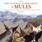 The Natural Superiority of Mules (A Celebration of One of the Most Intelligent, Sure-Footed, and Misunderstood Animals in the World, Second Edition) by John Hauer, Sue Cole, 9781626361669