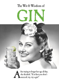 The Wit & Wisdom of Gin by Emotional Rescue, 9781787413399