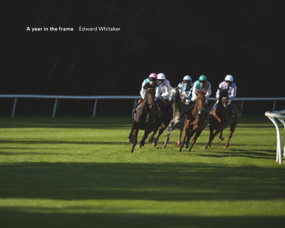 A Year in the Frame by Edward Whitaker, 9781910497784