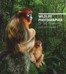 Wildlife Photographer of the Year: Highlights Volume 4 by Rosamund Kidman Cox, 9780565094294
