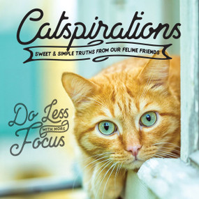 Catspirations by Willow Creek Press, 9781682348390