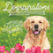 Dogspirations by Willow Creek Press, 9781682348406