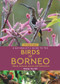 A Naturalist's Guide to the Birds of Borneo - 9781912081912 by Wong Tsu Shi, 9781912081912