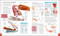 The Human Body Book (An Illustrated Guide to its Structure, Function, and Disorders) by Richard Walker, Steve Parker, 9781465480293