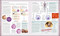 The Human Body Book (An Illustrated Guide to its Structure, Function, and Disorders) by Richard Walker, Steve Parker, 9781465480293