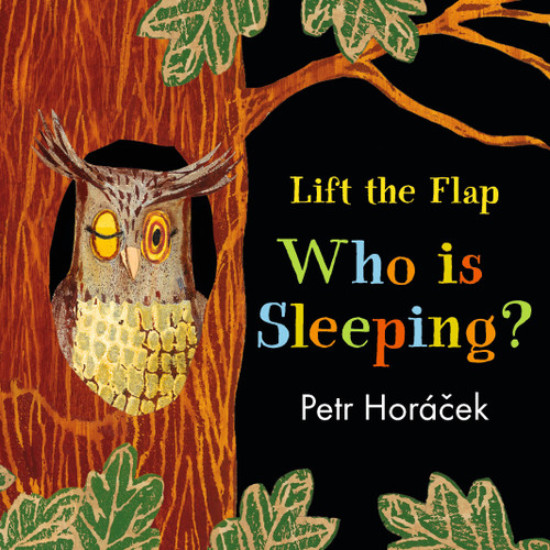 Who Is Sleeping? by Petr Horacek, Petr Horacek, 9781536201727