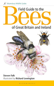 Field Guide to the Bees of Great Britain and Ireland by Steven Falk, Richard Lewington, 9781472967053