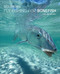 Fly Fishing for Bonefish - 9781493039715 by Dick Brown, 9781493039715