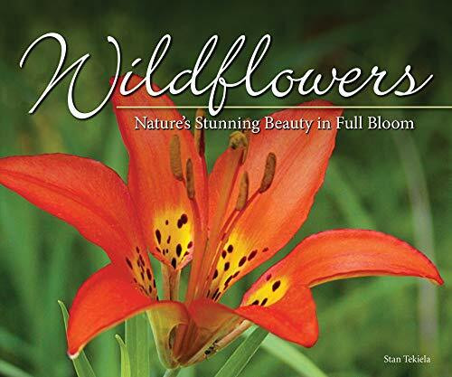 Wildflowers (Nature's Stunning Beauty on Display) by Stan Tekiela, 9781591937883