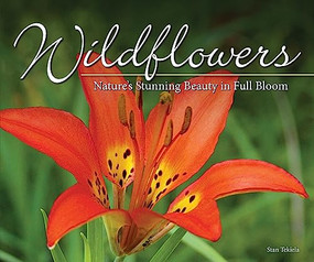 Wildflowers (Nature's Stunning Beauty on Display) by Stan Tekiela, 9781591937883