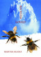 Reckless Lovely by Martha Silano, 9780989979719