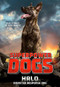 Superpower Dogs: Halo (Disaster Response Dog) by Cosmic, 9780316453639