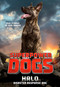 Superpower Dogs: Halo (Disaster Response Dog) by Cosmic, 9780316453639