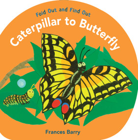 Caterpillar to Butterfly: Fold Out and Find Out by Frances Barry, Frances Barry, 9780763642617