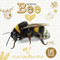 Life Cycle of a Bee by Grace Jones, 9781786376480