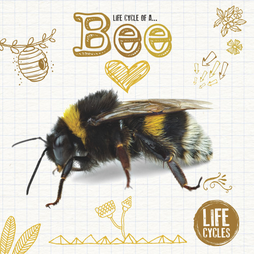Life Cycle of a Bee by Grace Jones, 9781786376480