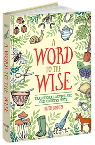 A Word to the Wise (Traditional Advice and Old Country Ways) by Ruth Binney, 9780486828732