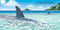 Good Night Sharks by Adam Gamble, Mark Jasper, Cooper Kelly, 9781602196636