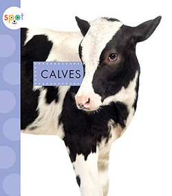 Calves by Anastasia Suen, 9781681523668