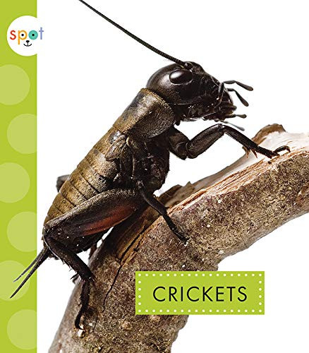 Crickets - 9781681523743 by Nessa Black, 9781681523743