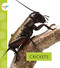 Crickets - 9781681523743 by Nessa Black, 9781681523743