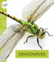 Dragonflies - 9781681523750 by Nessa Black, 9781681523750
