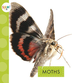 Moths - 9781681523767 by Nessa Black, 9781681523767