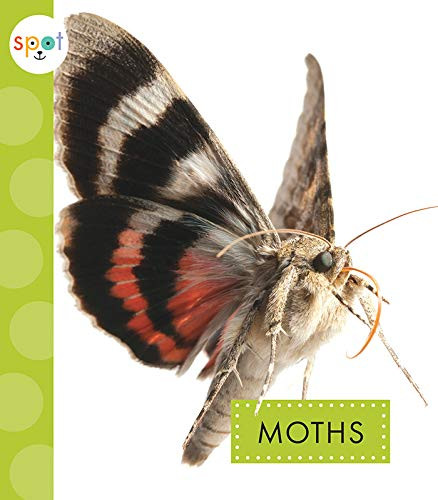 Moths - 9781681523767 by Nessa Black, 9781681523767