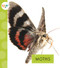 Moths - 9781681523767 by Nessa Black, 9781681523767