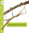 Walking Sticks by Nessa Black, 9781681523781