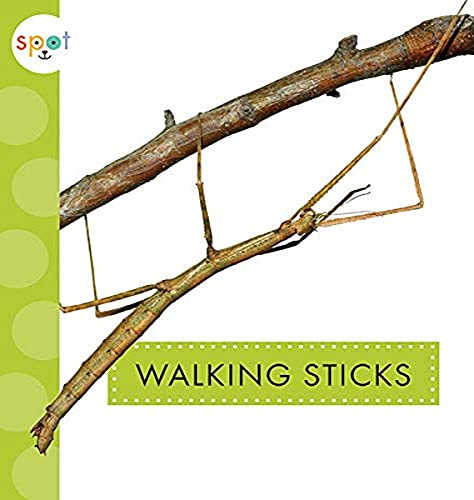 Walking Sticks by Nessa Black, 9781681523781