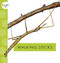Walking Sticks by Nessa Black, 9781681523781