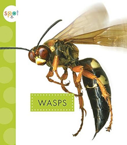 Wasps - 9781681523798 by Nessa Black, 9781681523798