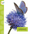 Spring - 9781681523880 by Mari Schuh, 9781681523880