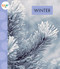 Winter - 9781681523910 by Mari Schuh, 9781681523910