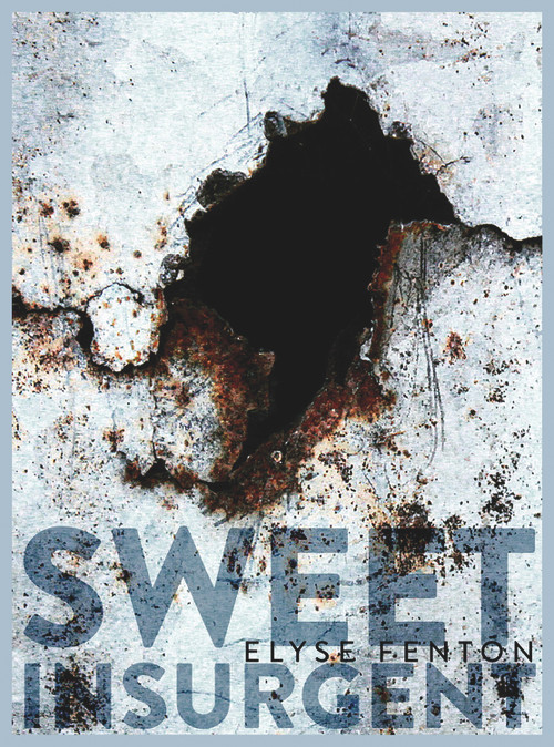 Sweet Insurgent by Elyse Fenton, 9780998053400