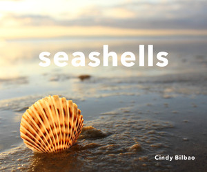 Seashells - 9781682682791 by Cindy Bilbao, 9781682682791