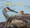 Hello, I'm Here! by Helen Frost, Rick Lieder, 9780763698584