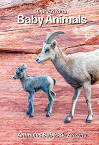 Our Arizona: Baby Animals by Jerri Conrad, Patrick Turner, 9781936097180