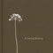 In Loving Memory by Dan Zadra, 9781935414131