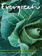 Evergreen by Mikkel Karstad, Anders Schoennemann, 9781908337504