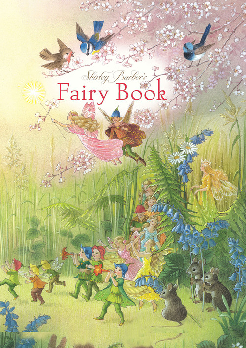 Fairy Book by Shirley Barber, 9781925386875