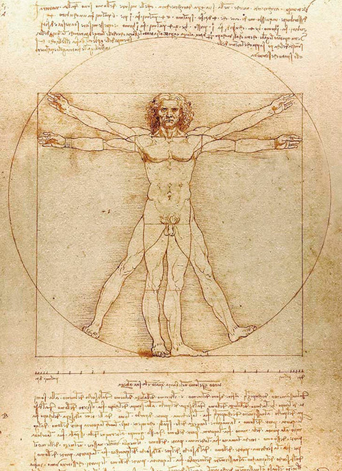 Vitruvian Man Notebook by Leonardo da Vinci, 9780486836560