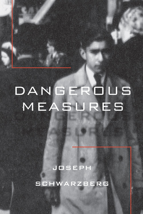 Dangerous Measures by Joseph Schwarzberg, 9781988065458