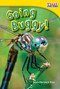 Going Buggy! by Dona Herweck Rice, 9781433335914