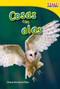 Cosas con alas (Spanish Edition) by Dona Herweck Rice, 9781433344220