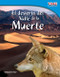 El desierto del Valle de la Muerte (Spanish Edition) by William B. Rice, William Rice, William Rice, William Rice, William Rice, William Rice, 9781433344817